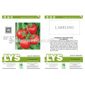 T11 JP n. ° 11 precios de semillas de tomate híbrido f1 resistentes a TYLCV más resistentes